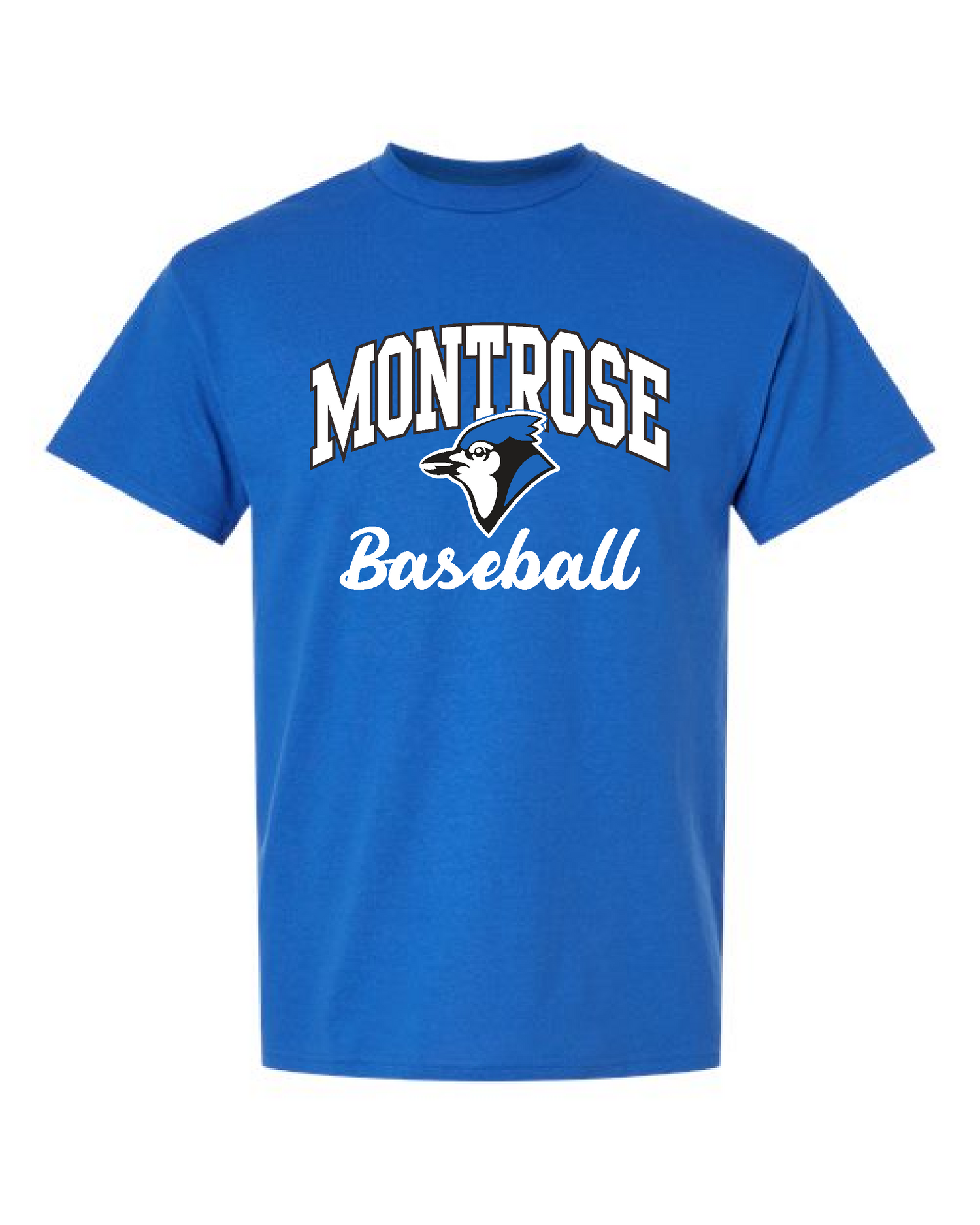 Montrose Baseball 2025