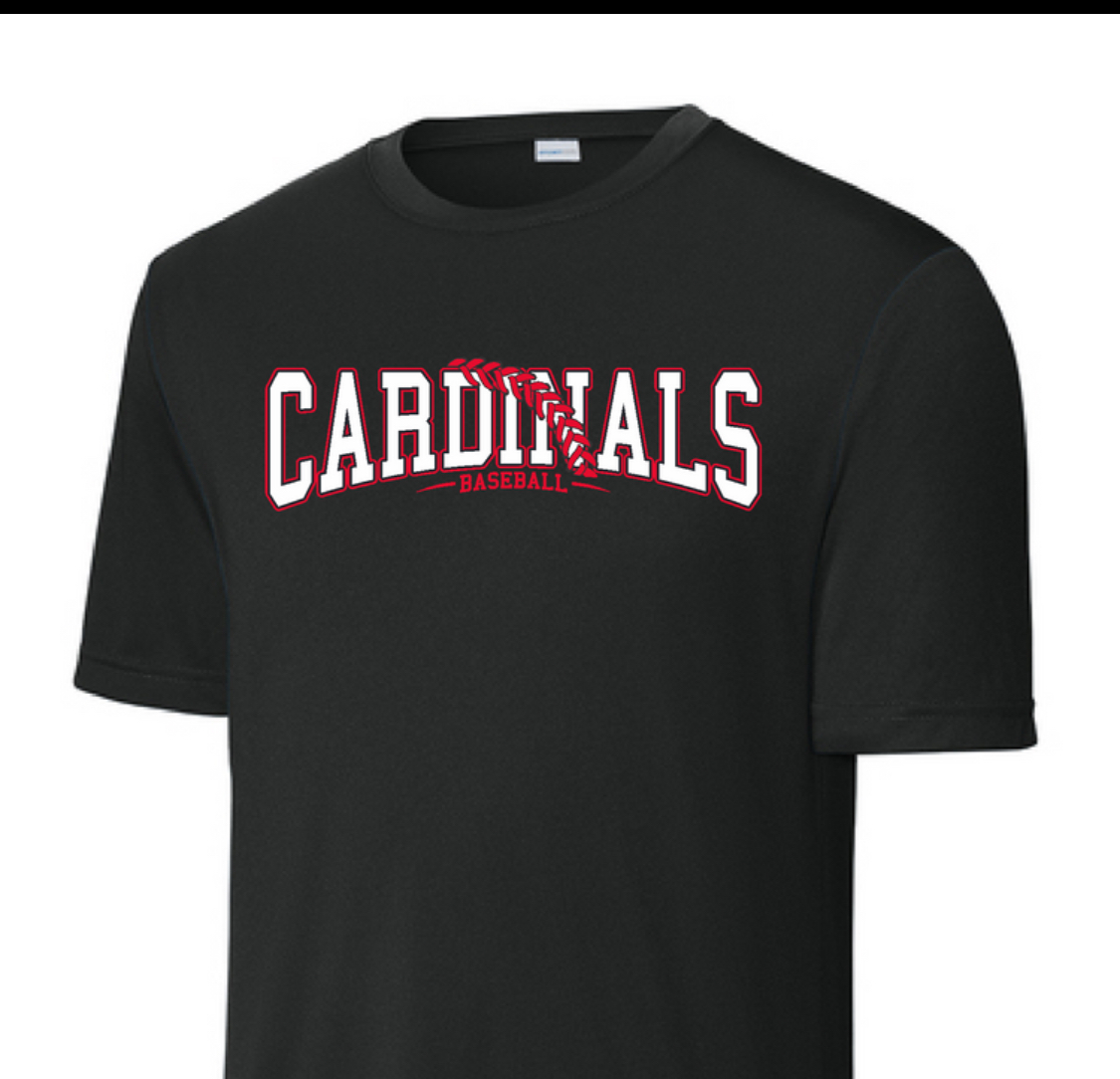 CHS Baseball 2025