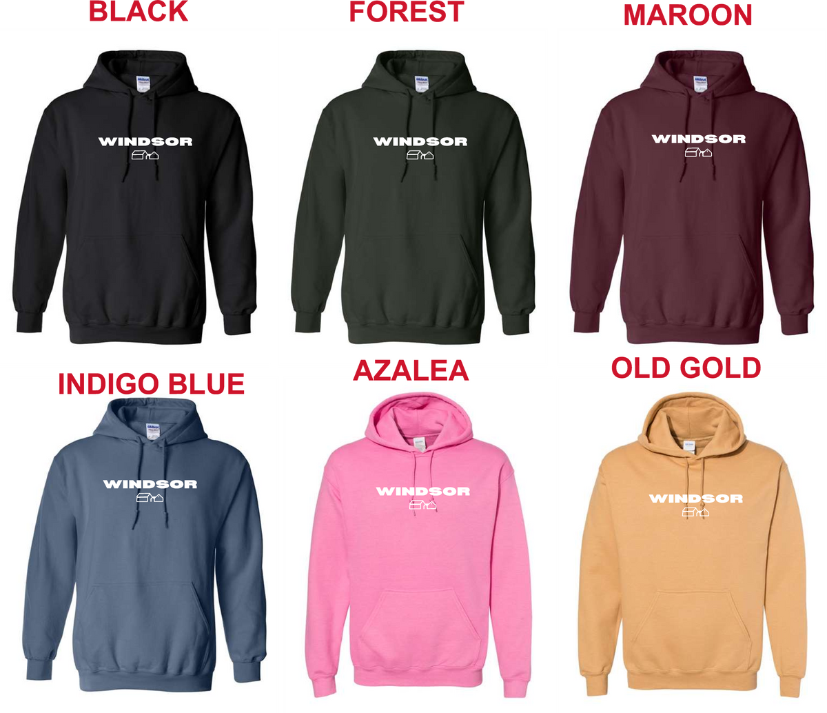 WA- (Church Icon) Gildan Hoodie 18500 (ADULT)
