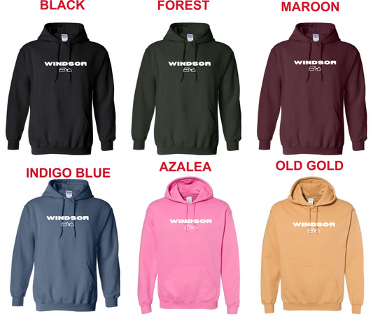 WA- (Church Icon) Gildan Hoodie 18500 (ADULT)
