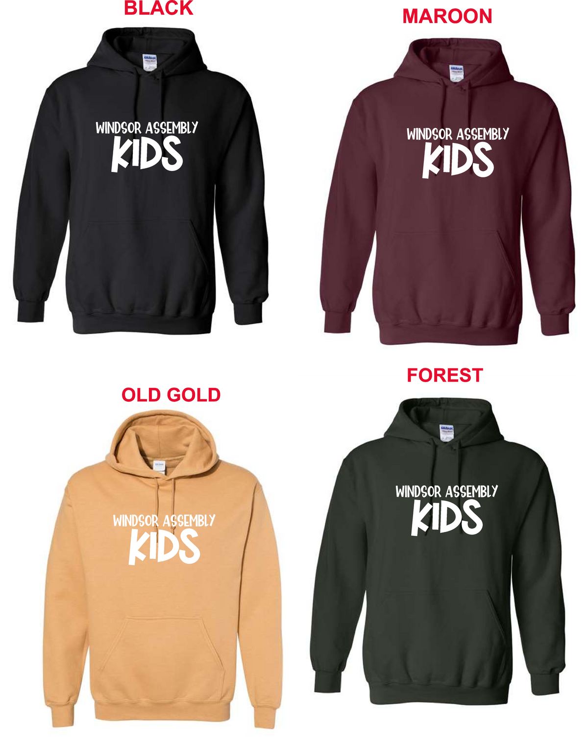 WA- (WA Kids) Gildan Hoodie 18500 (ADULT)