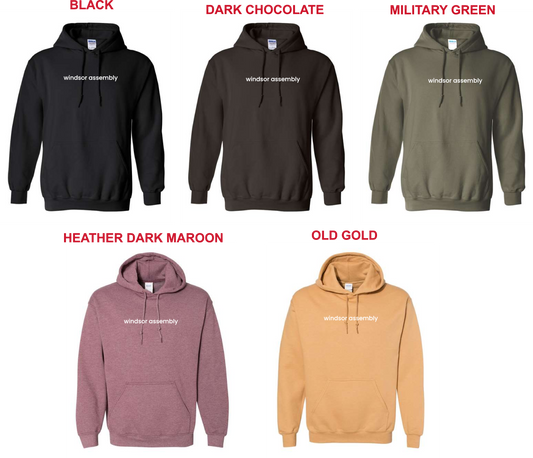 WA- (WA Lower Case) Gildan Hoodie 18500- ADULT