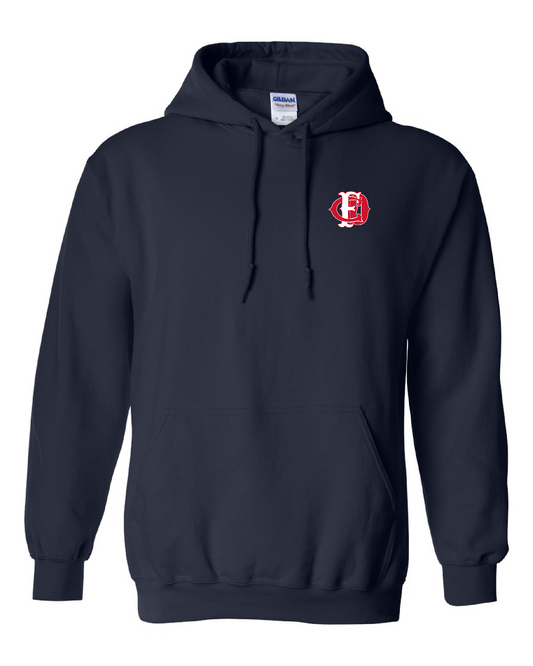 CFD Gildan hoodie with embroidered scramble - 18500