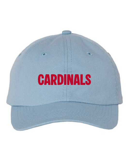 CIS PTO- Valuecap Bio Washed Classic Dad Hat